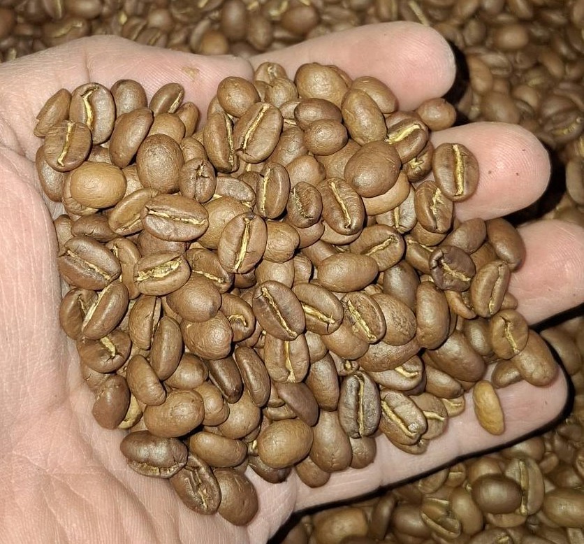 دان قهوه کلمبیا